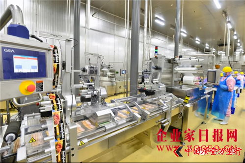 雙匯發展 完善產業布局，增強核心競爭力，攜手鄭州軟件推動產業升級